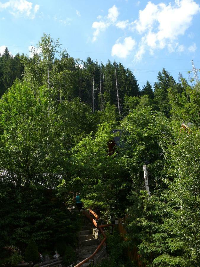 Homestay Wynajem Pokoi Krystyna Mroz *